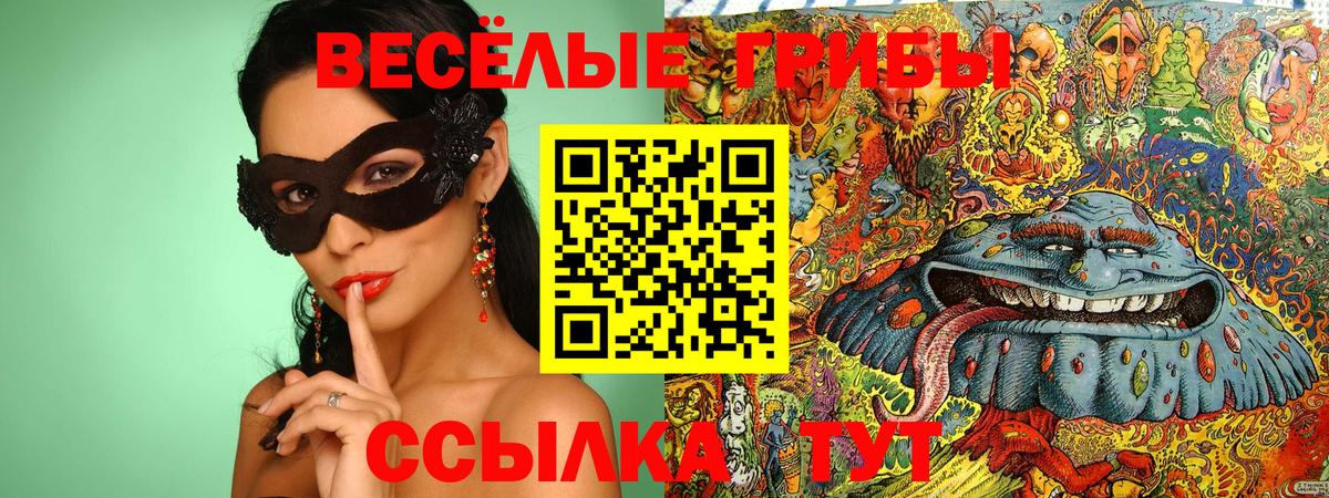 Псилоцибиновые грибы MAGIC MUSHROOMS  Галлюциногенные грибы Cubensis  Вход с VPN  купить наркотик  Егорьевск 