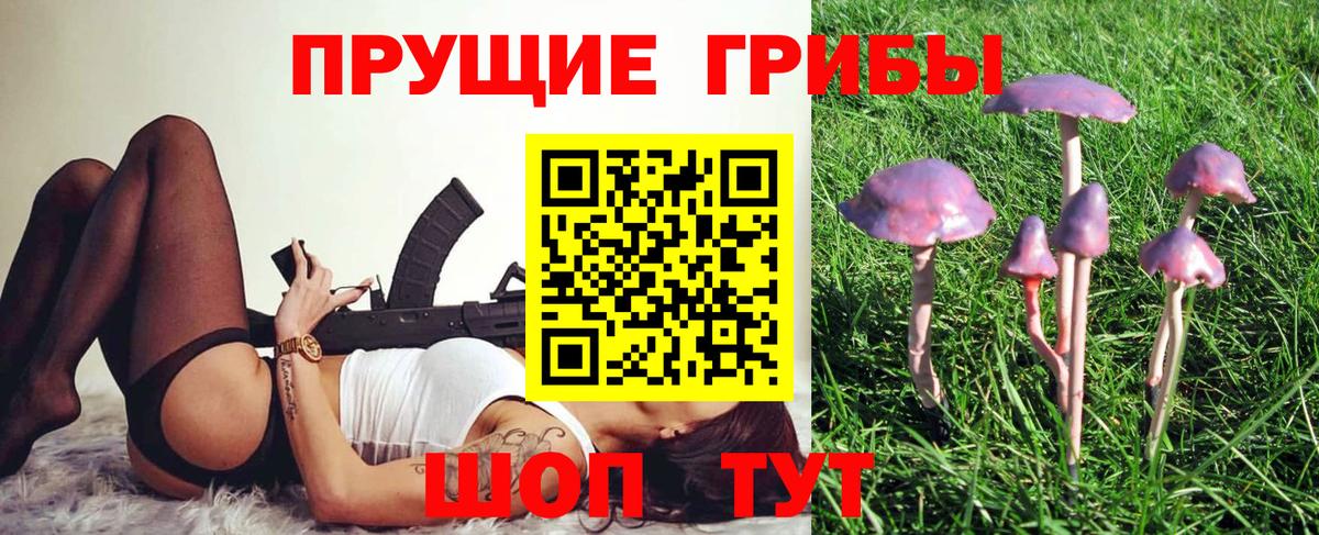 Галлюциногенные грибы мухоморы Егорьевск