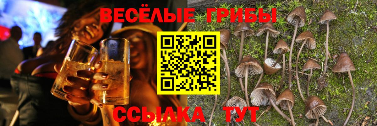 МАРИХУАНА  ГАШ  Сколько стоит  КОКАИН  МЕФ   Егорьевск  Вход с VPN  НБОМе 